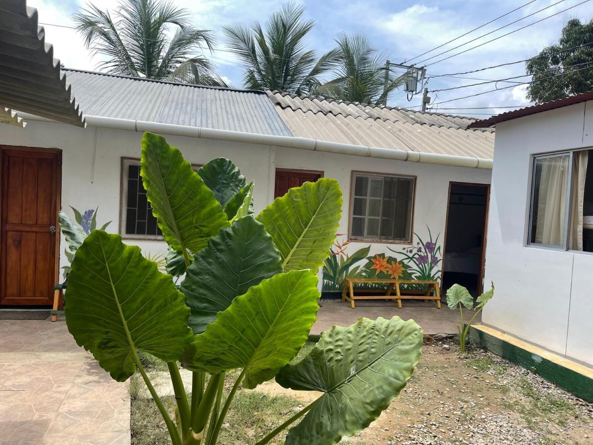 Palomino Hostel 外观 照片