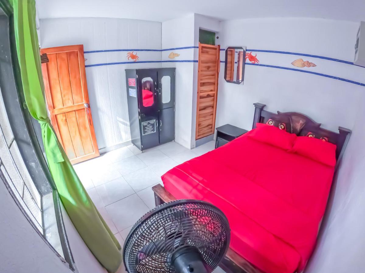 Palomino Hostel 外观 照片