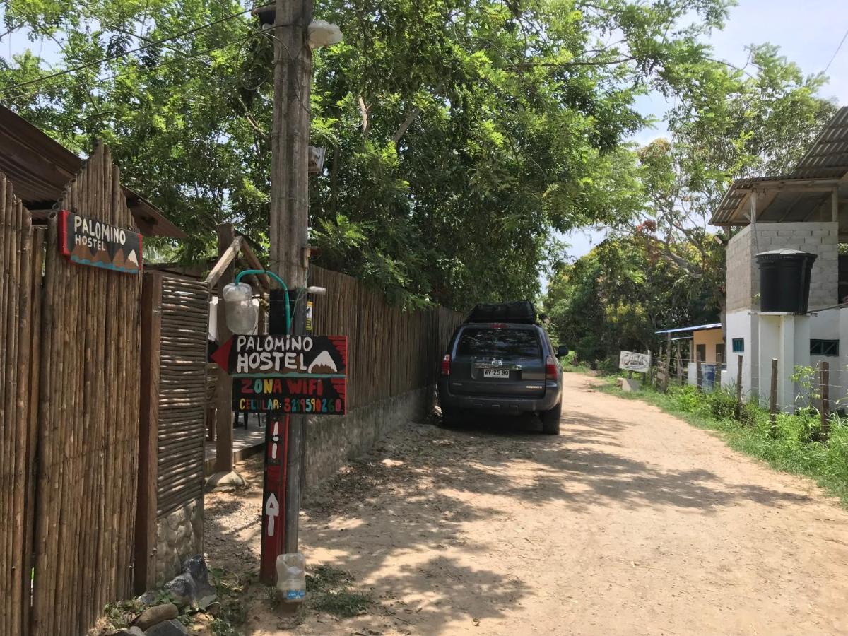 Palomino Hostel 外观 照片